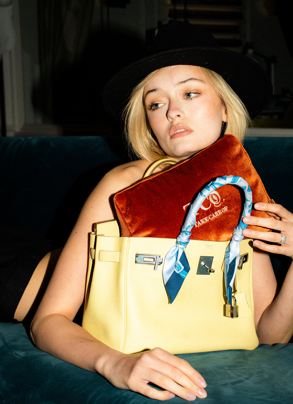Birkin 25 Pillow