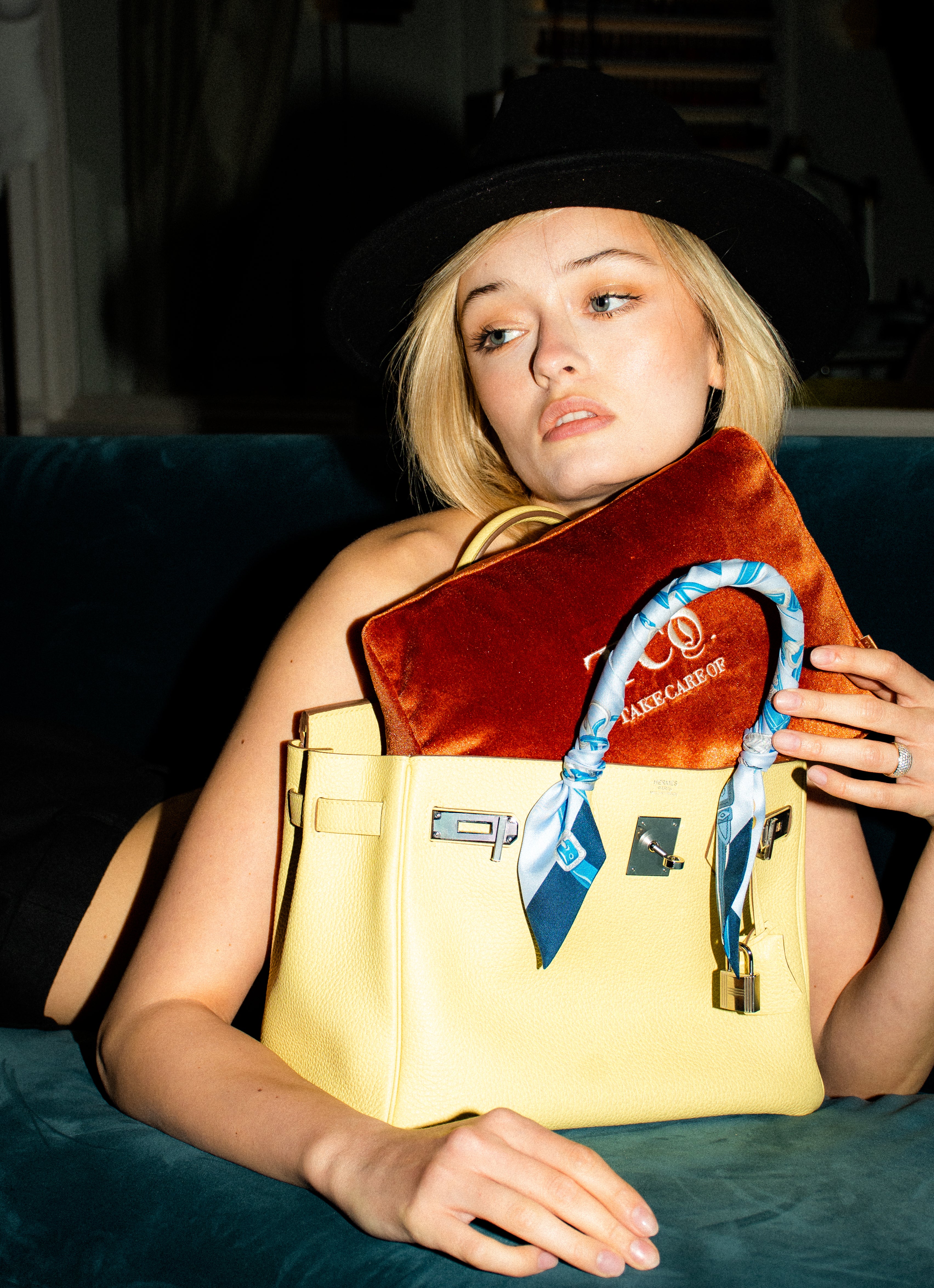 Birkin 25 Pillow